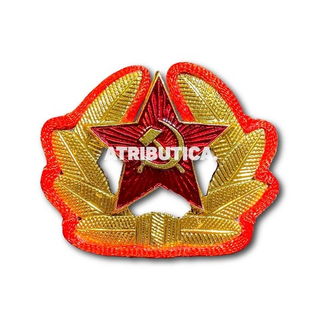 Кокарда Солдатская Звезда СССР В Обрамлении Из Красного Шнура Золотистая