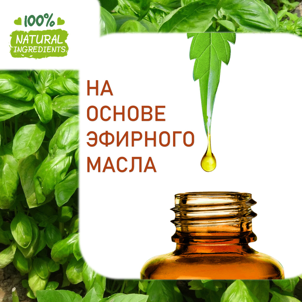 Базилик, отдушка для свечей и мыла
