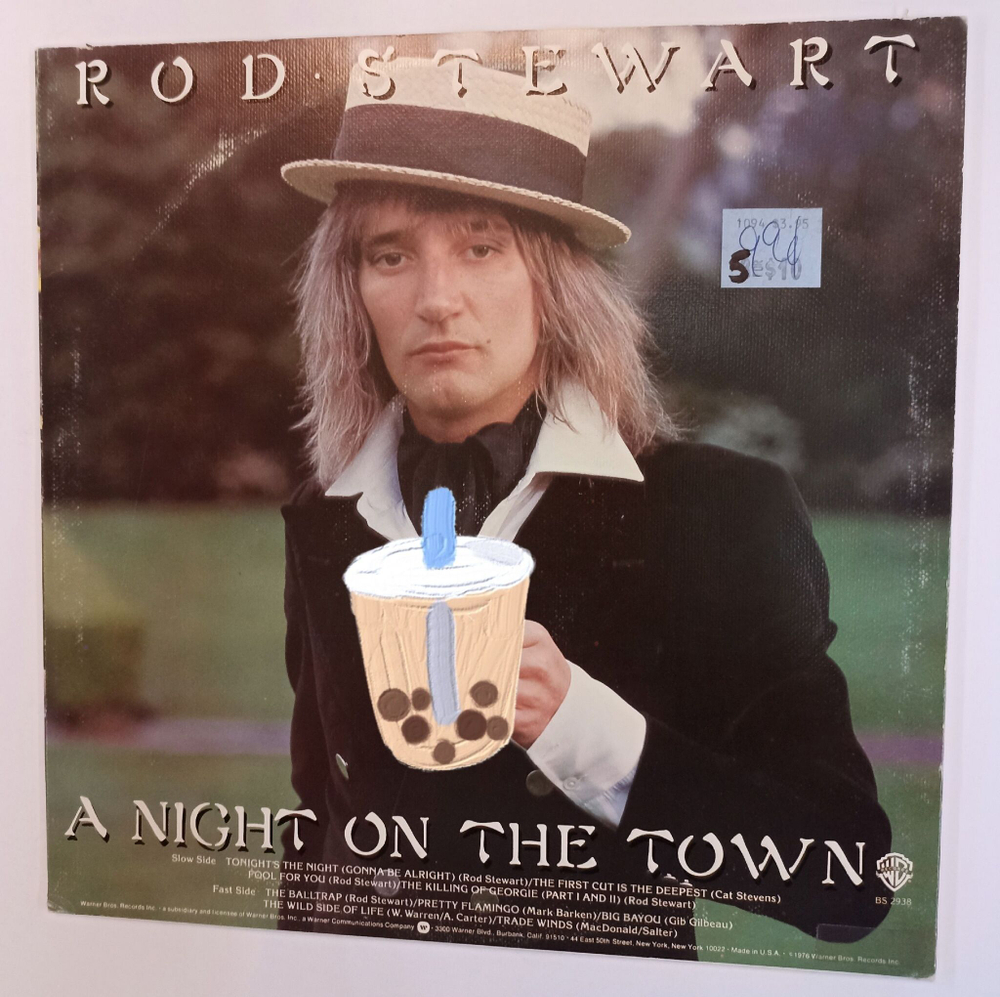 Винтажная виниловая пластинка LP Rod Stewart A Night On The Town (USA 1976)