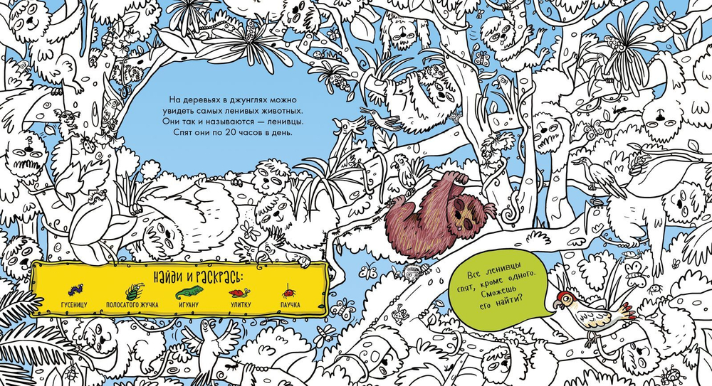 Найди и раскрась. Джунгли