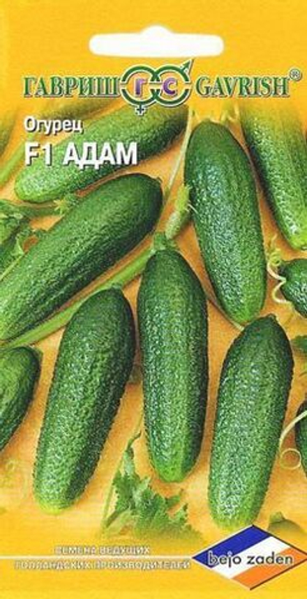 Огурец Адам F1 5 шт.корнишон (Голландия) Гавриш