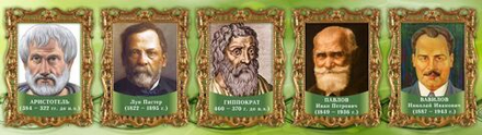 Стенд "Выдающиеся ученые биологи" часть 2