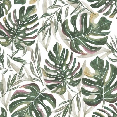 Монстера (крупный)