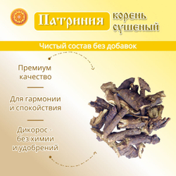 Патриния безразличка корень.
