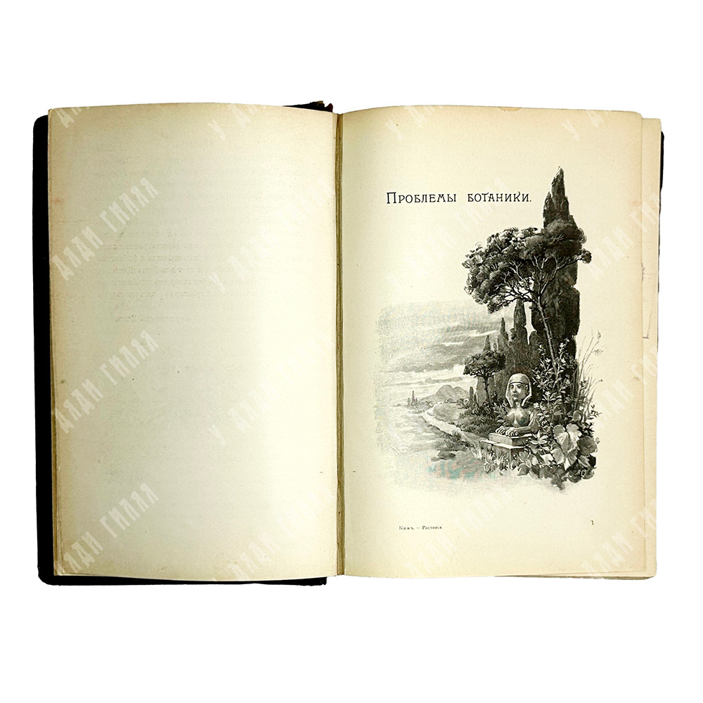 Кон Ф. Растение: Популярные лекции из области ботаники. В 2-х т. СПб. Изд. Девриен, 1901 г