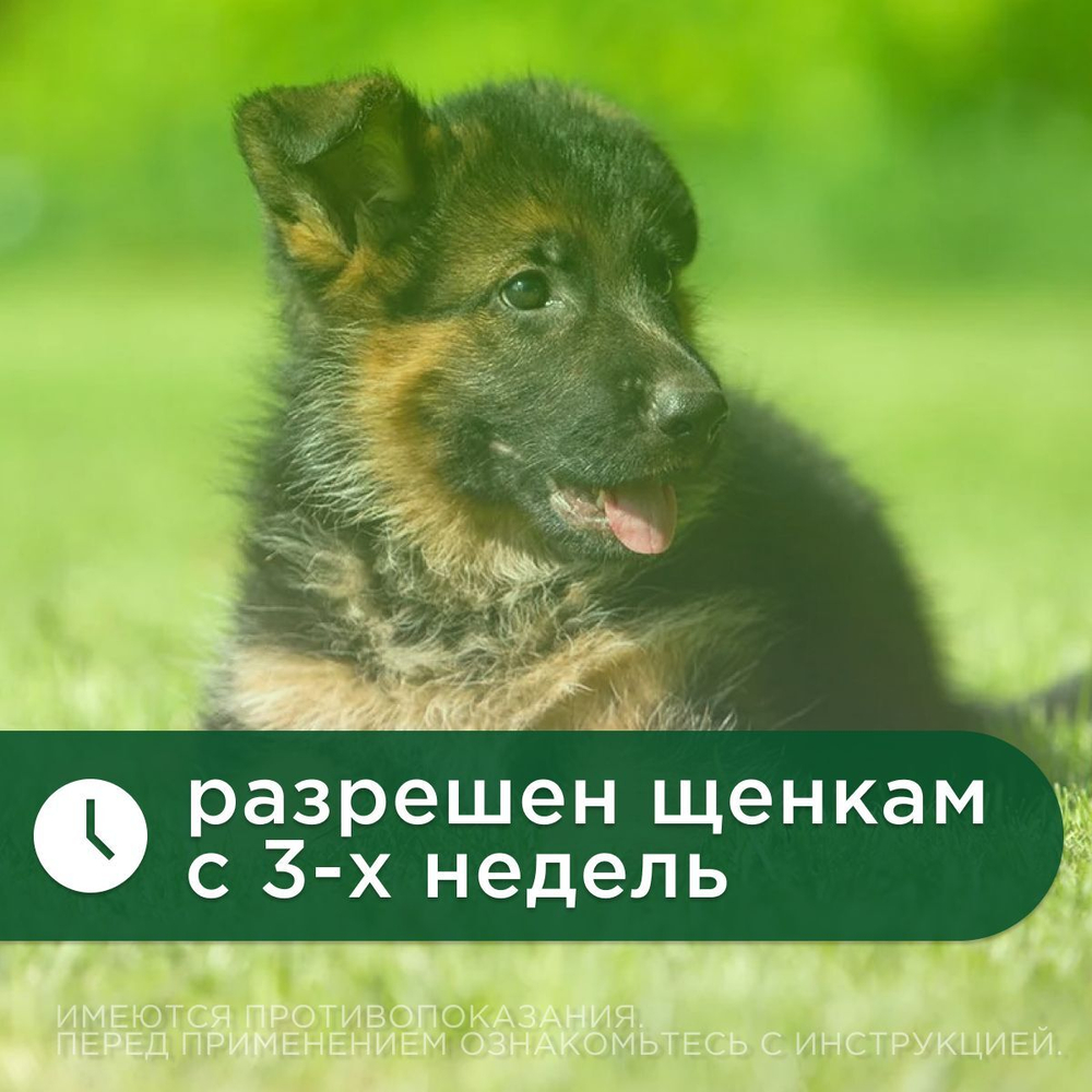 Таблетки от гельминтов и лямблий, профилактика дирофиляриоза для собак мелких пород Фенпраз Форте Mini, 2таб
