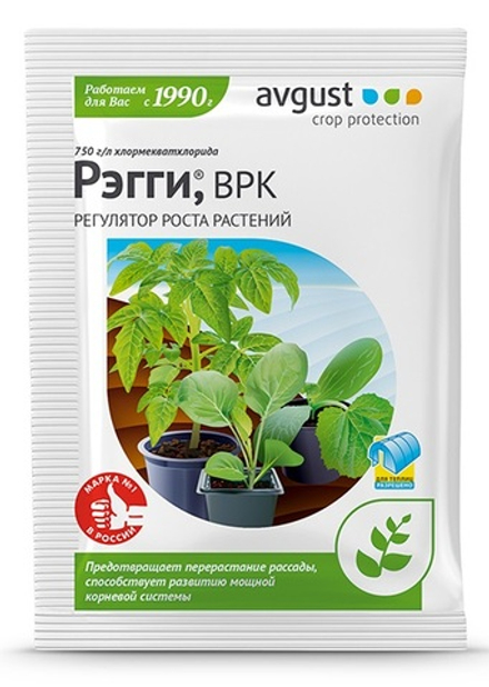 Рэгги 1мл (Август)