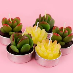 Набор свечей Succulent 4