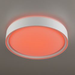 Citilux BOSS CL751250G LED RGB Светильник с пультом Белый