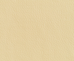 Искусственная кожа Oregon (Орегон) 12