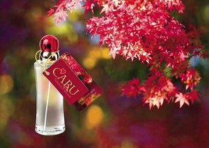 Fragrances of Ireland Caru