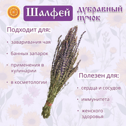 Шалфей дубравный пучок.