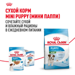 Royal Canin Mini Puppy Корм консервированный для щенков мелких пород в возрасте до 10 месяцев кусочки в соусе 85г