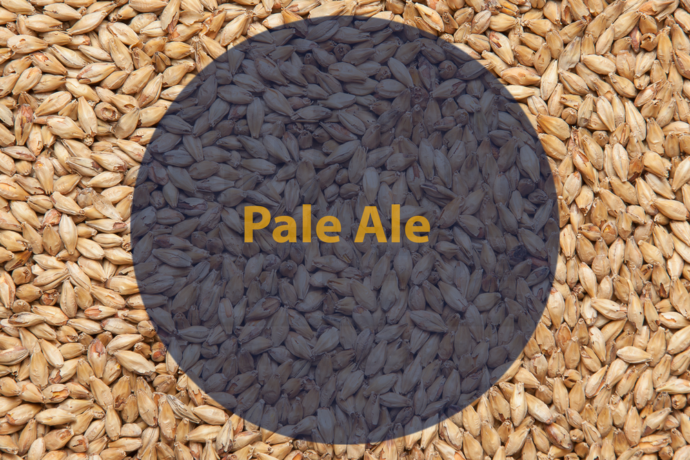 Солод Pale Ale (Пэйл Эль) -Viking Malt
