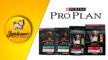 Акция на сухие корма «Pro Plan» - 15%