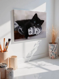 Картина на стену 40 X 50 Котенок