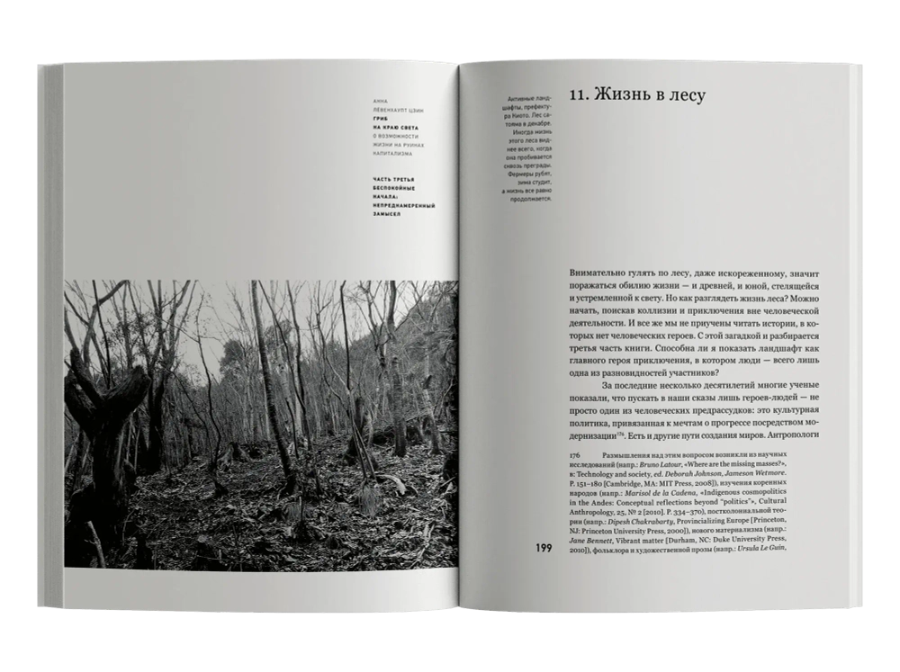 Гриб на краю света