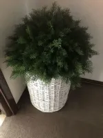 Туя-Шар искусственная (Литая хвоя) 40 см \ 70 см