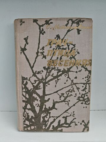 Грач - птица весенняя