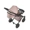 Коляска ANEX e/type 2 в 1 (et-11A) pixie
