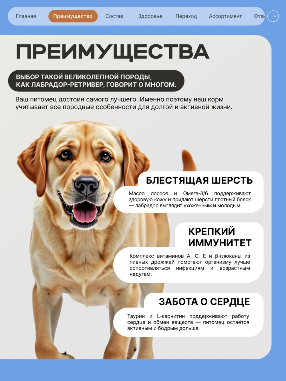 Корм сухой для пожилых собак породы Лабрадор-ретривер старше 5 лет, с индейкой, 12 кг, QUATTRO
