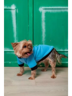 Толстовка для собак и кошек