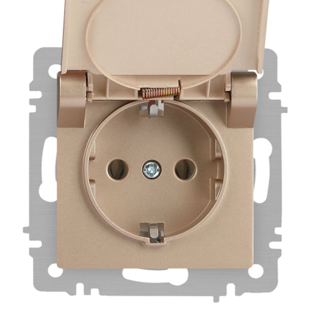 Розетка Intro Accent 6-203-04 2P+E Schuko с крышкой 16А-250В IP20 СУ AL/CU шампань | Intro