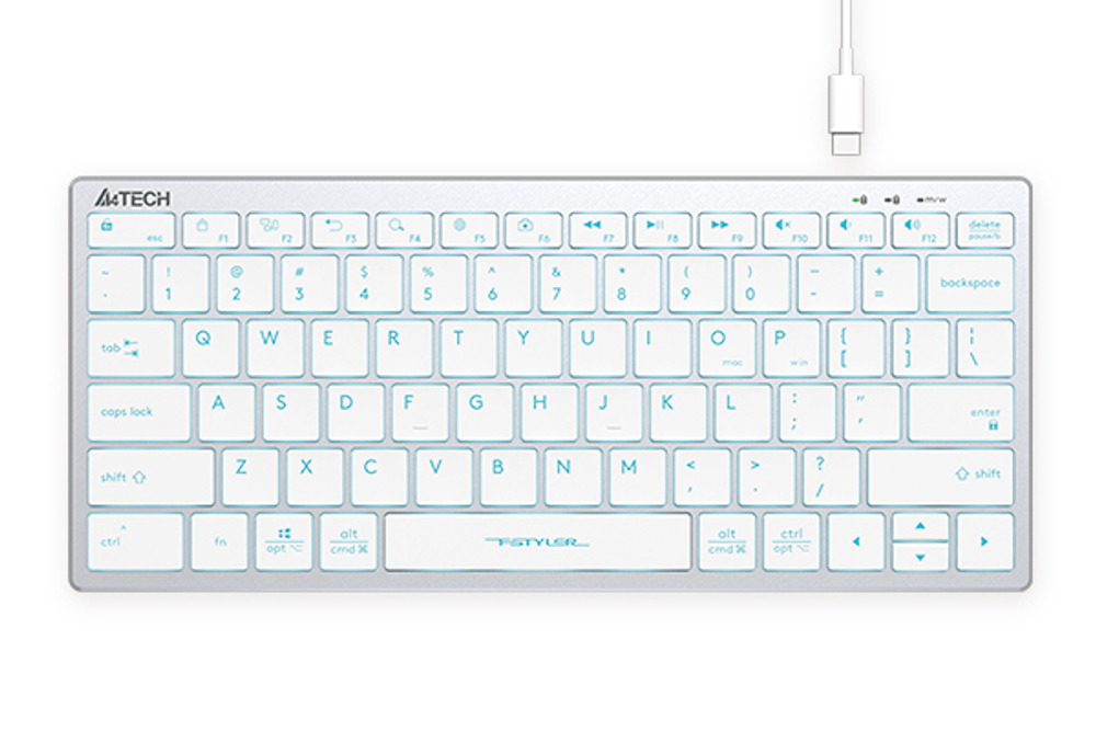 Клавиатура  A4Tech Fstyler FX61