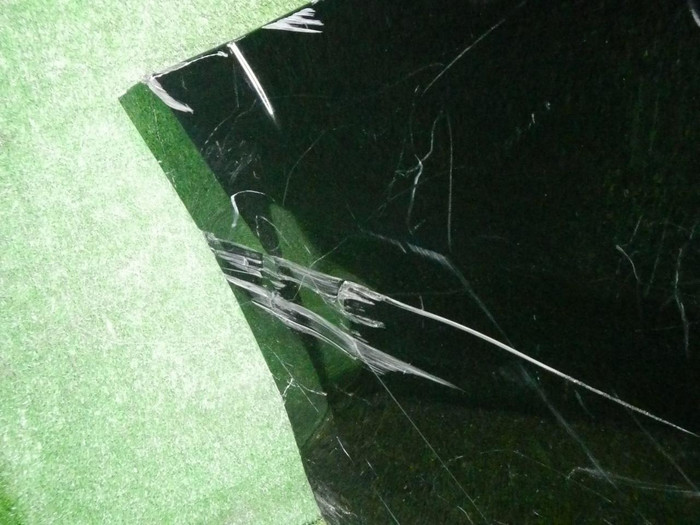 DSCN2650.jpg