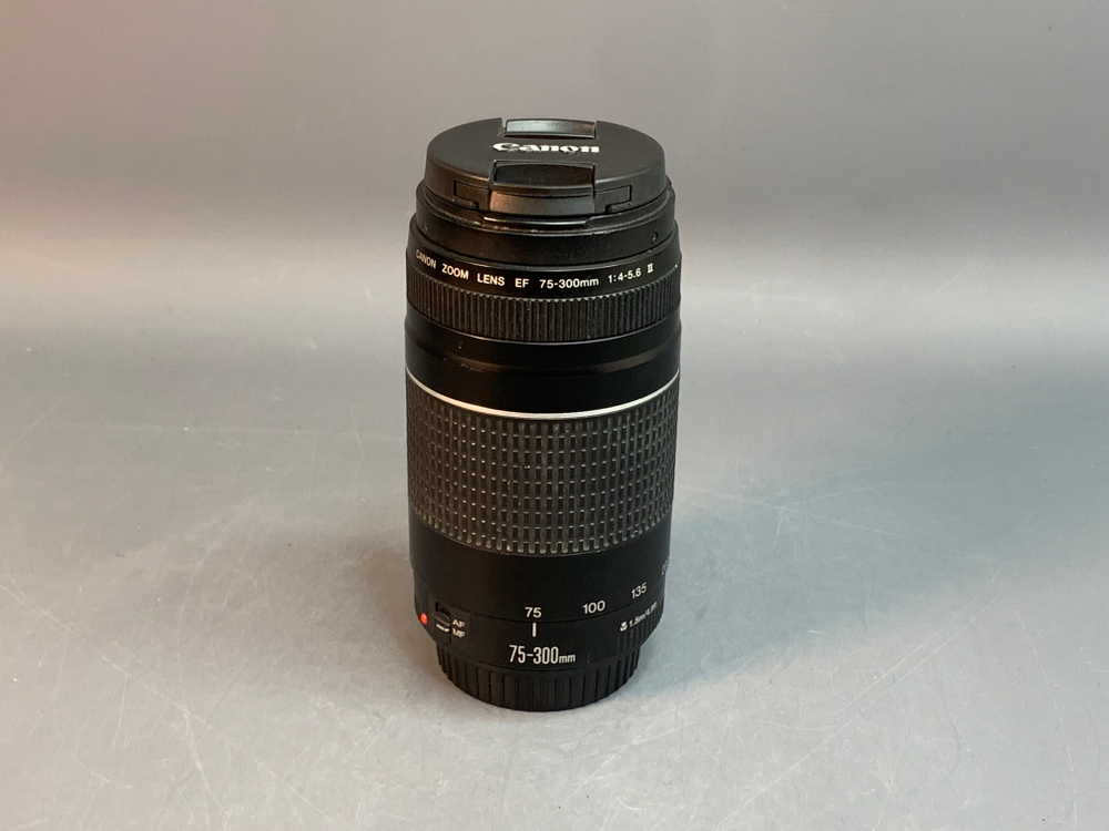 Canon EF 75-300mm 4-5.6 III