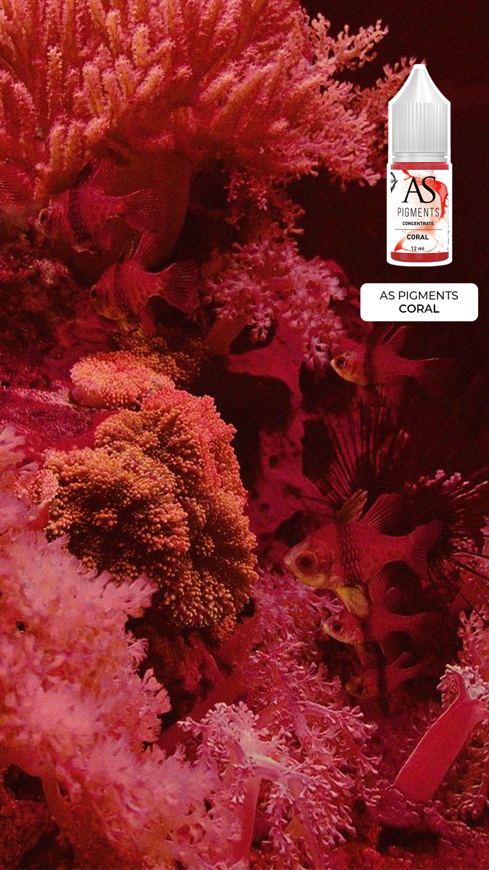 Пигмент для губ Coral (Коралл) от Алины Шаховой концентрат