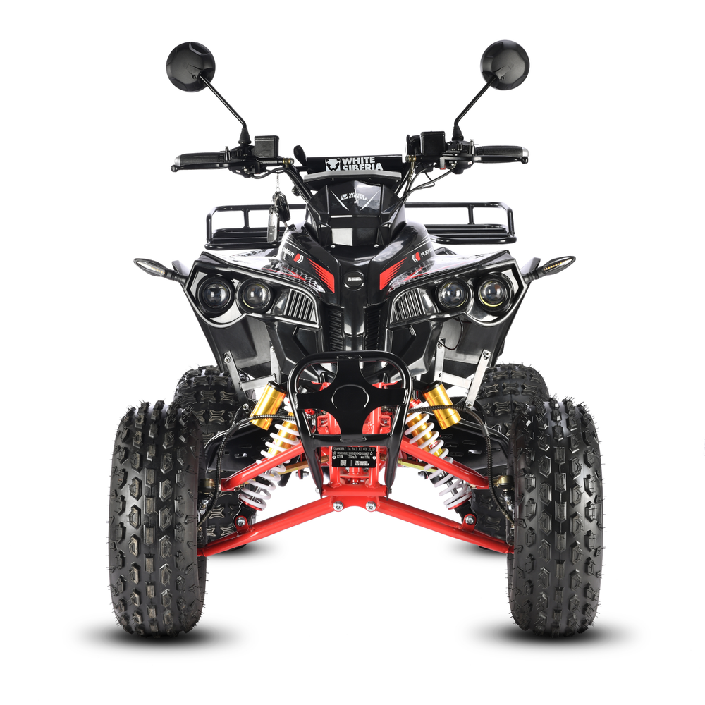 Электроквадроцикл White Siberia SNEG PRO R 3000W Черный