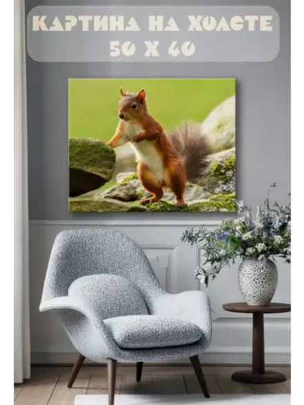 Картина на стену 40 X 50 Белка