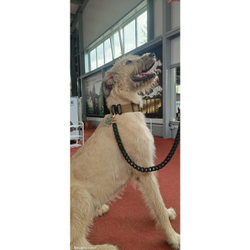 Ошейник биотановый K9 INDUSTRIES