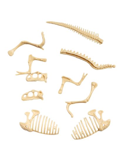Раскопки "Найди окаменелости Тираннозавра" 11 эл