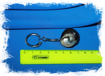 Брелок для ключей с ракушкой Турбо черный