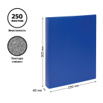 Папка на 2 кольцах А4 пластик, синяя (Стамм)