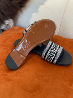 Christian Dior Dway Slide