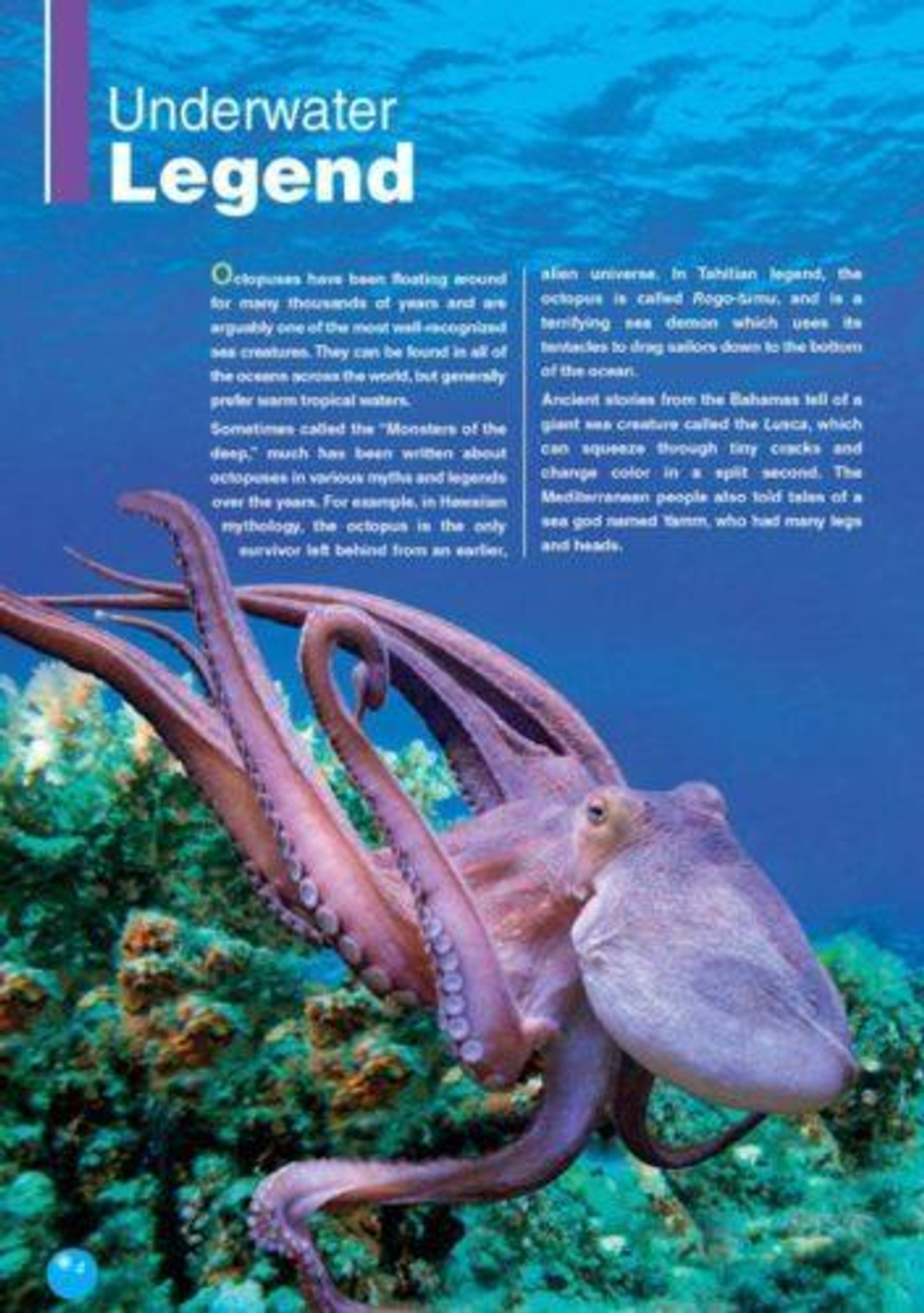 The Octopus. Reader. Книга для чтения