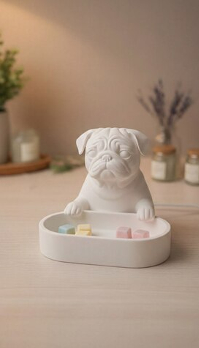 МОПС огонайзер