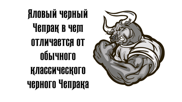 Яловый черный Чепрак в чем отличается от обычного классического черного Чепрака