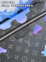 Louis Vuitton Discovery Backpack