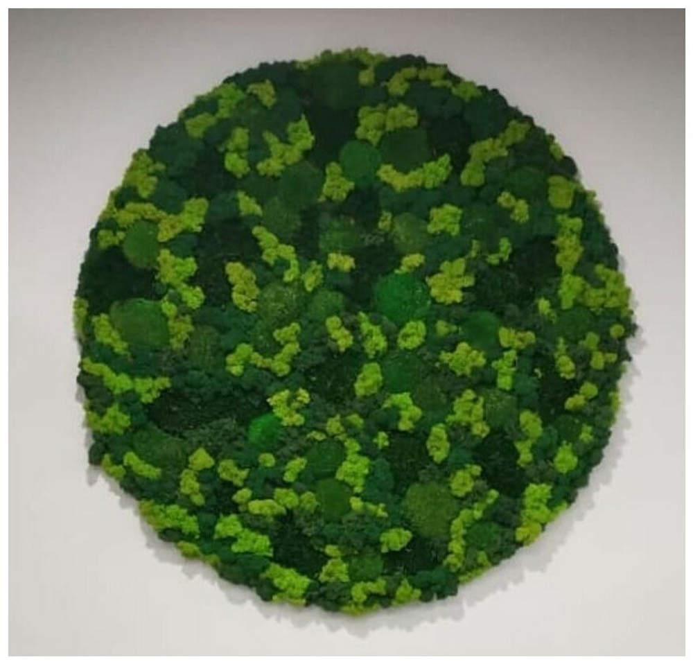 Круглое панно из стабилизированного мха, диаметр 60см