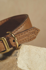 Ошейник "Пони-Селедка" Коричневый