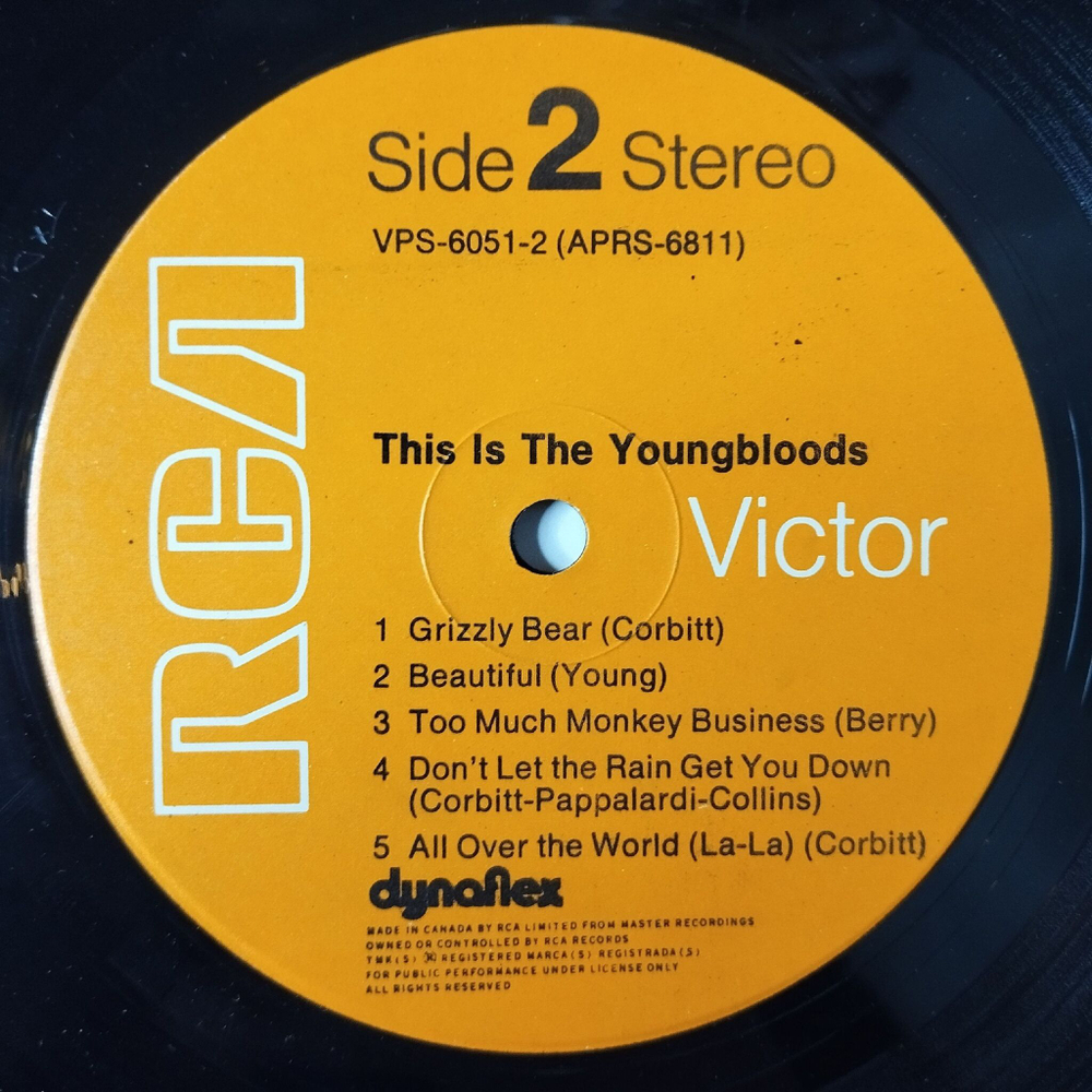 Винтажная виниловая пластинка LP This Is The Youngbloods (Canada 1972)