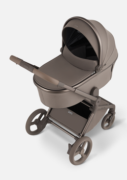 Anex Детская коляска Flo 2 в 1 Yuki