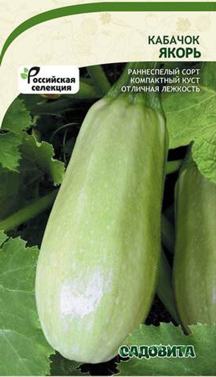 Кабачок Якорь 10шт Садовита