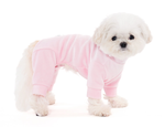 004 Костюм (ВЕЛЮРОВЫЙ) с высоким воротом "Angel Monsters Velour Highneck" Puppy Angel