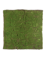 Мох полотно (30.0312011L) 100 х100 см 4/4 20.03180277L