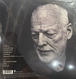 Виниловая пластинка David Gilmour ‎– Luck And Strange LP Blue